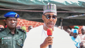 Borno Governor Babagana Zulum