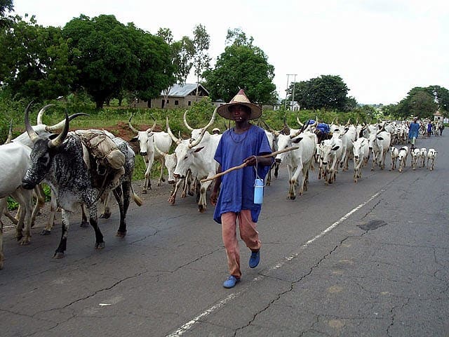 Ogun monarch warns subjects against harbouring migrating herders