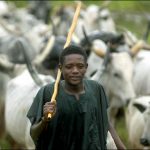Fulani-herdsman