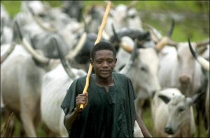 Fulani-herdsman