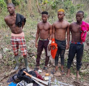 Ondo: Four suspected Indian hemp farmers arrested