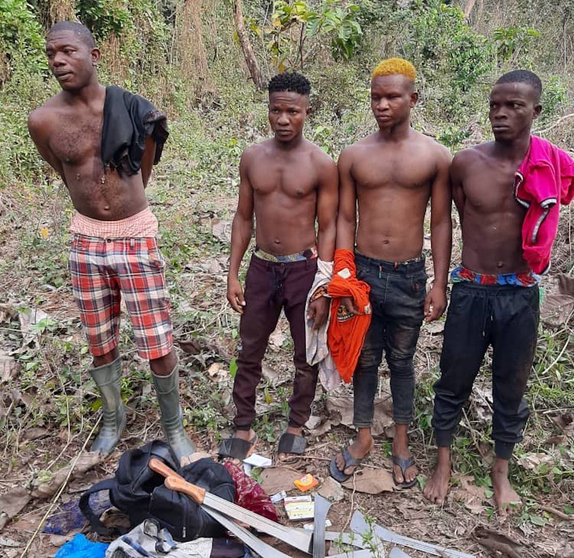 Ondo: Four suspected Indian hemp farmers arrested