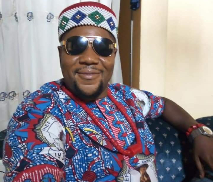 IPAN National President Lawrence Onuzulike