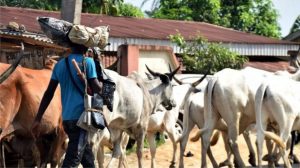 Fulani herdsmen eviction by host communities inevitable – Prof
