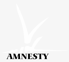 amnesty
