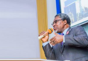 Mining ministry expects investors’ influx this year, says Minister