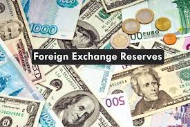 foreign reserves