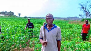 COVID-19: Smallholder farmers saved Nigeria from famine – Minister
