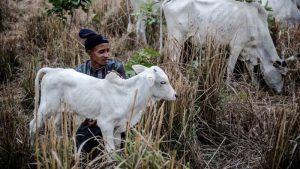 Fulani herdsmen unfairly treated – Yuguda