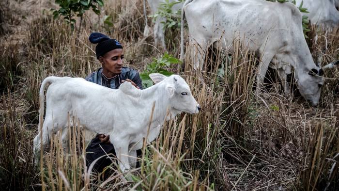Fulani herdsmen unfairly treated – Yuguda