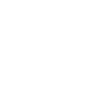 paged-logo-transperent