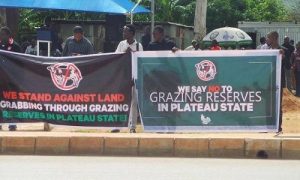 Why Plateau rejects RUGA for Livestock Transformation Programme – Lalong