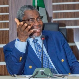 Minister of Mines and Steel Development Olamilekan Adegbite