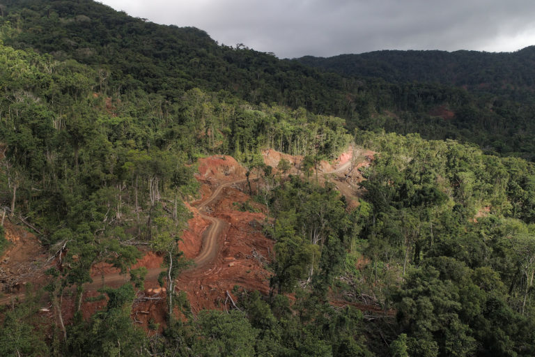 International Day of Forests: Ogun moves against illegal enclaves in forest reserves