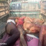 Ibarapa: 4 men hacked to death by suspected herdsmen in Igangan