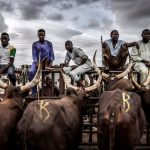 Northern elders call for end to attacks on Fulani herders