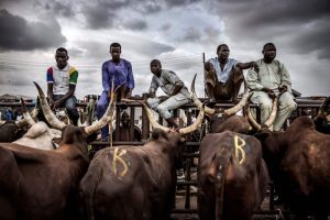 Northern elders call for end to attacks on Fulani herders