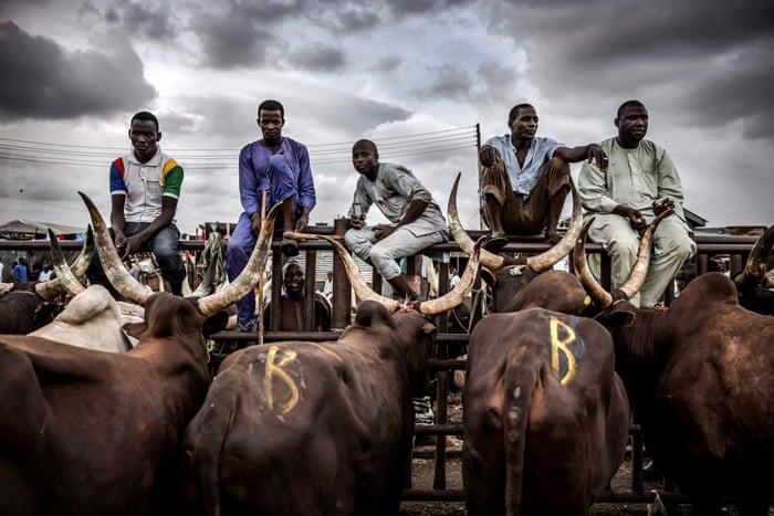 Northern elders call for end to attacks on Fulani herders