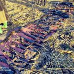 Soldiers kill 25 Boko Haram terrorists in Borno, recover arms, ammunition