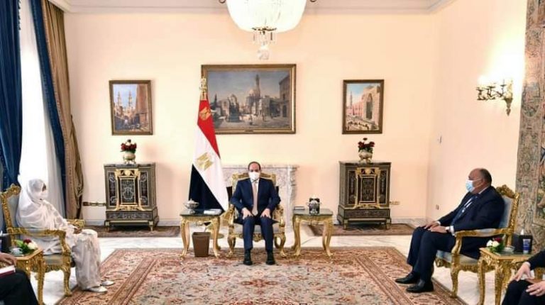 Egyptian president, Sudanese FM discuss disputed Nile dam