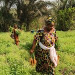 Agriculture: CBN, NIRSAL, others frustrating our efforts – Babalola