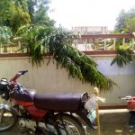 Autonomy: Kebbi assembly workers shut complex