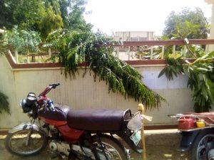 Autonomy: Kebbi assembly workers shut complex