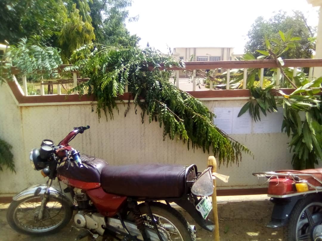 Autonomy: Kebbi assembly workers shut complex