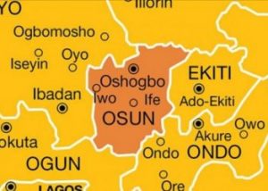 Value chain: Osun farmers to partner government on exportation
