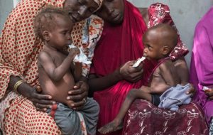 malnutrition-northern-Nigeria