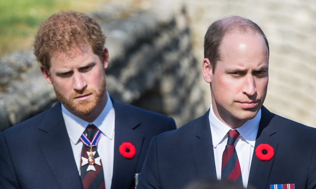 prince-harry-prince-william-remembrance-day-t