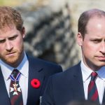 prince-harry-prince-william-remembrance-day-t