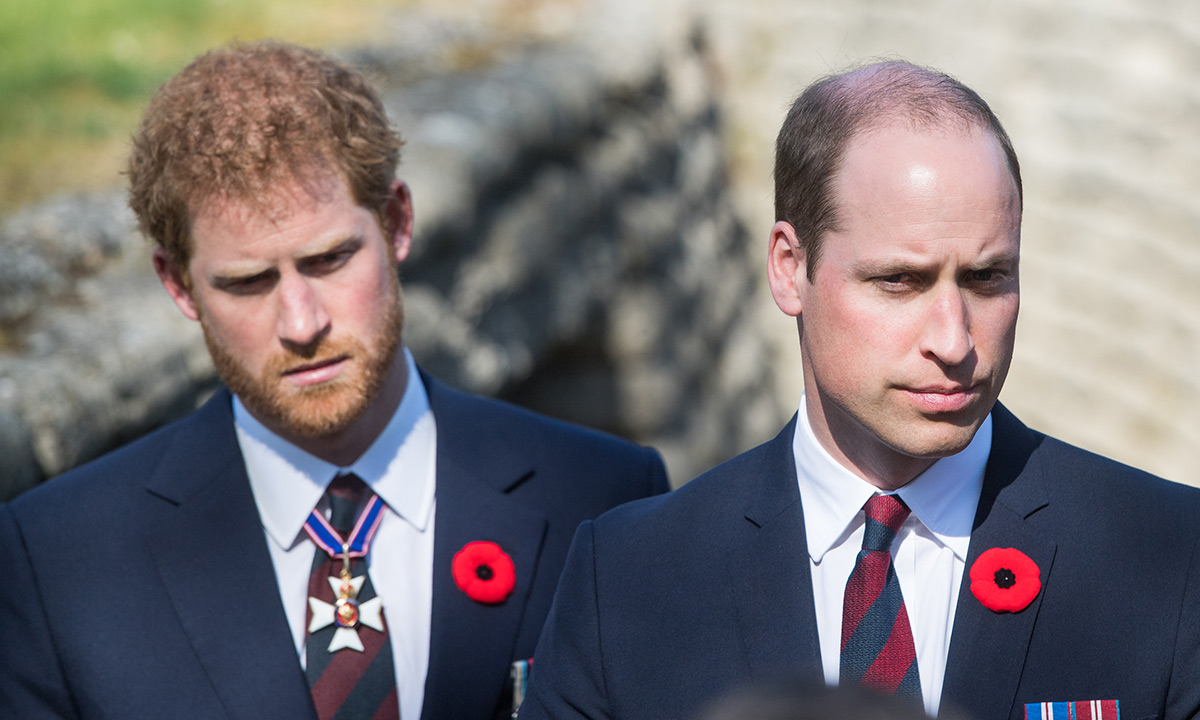 prince-harry-prince-william-remembrance-day-t