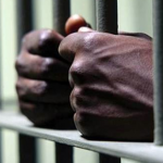 Prison bars