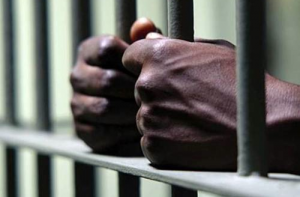 Prison bars