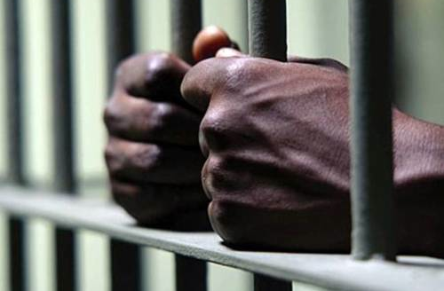 Prison bars