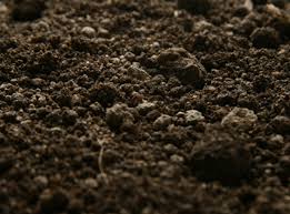 soil
