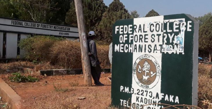 Federal-College-Of-Forestry-Mechanization
