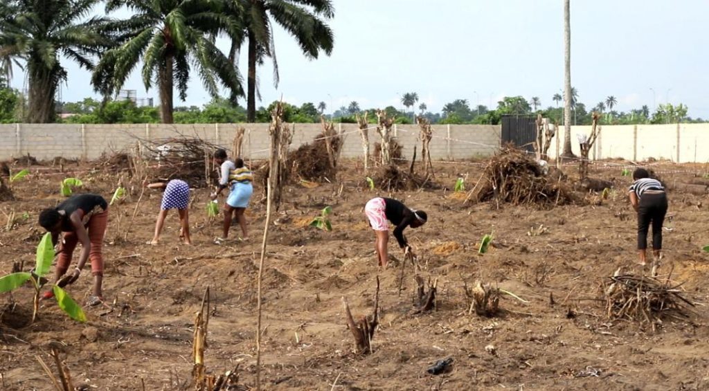 Repentant-militants-and-repentant-commercial-sex-workers-preparing-the-land-for-farming-season