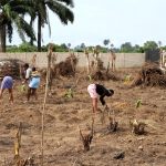 Repentant-militants-and-repentant-commercial-sex-workers-preparing-the-land-for-farming-season