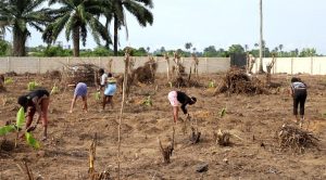 Repentant-militants-and-repentant-commercial-sex-workers-preparing-the-land-for-farming-season