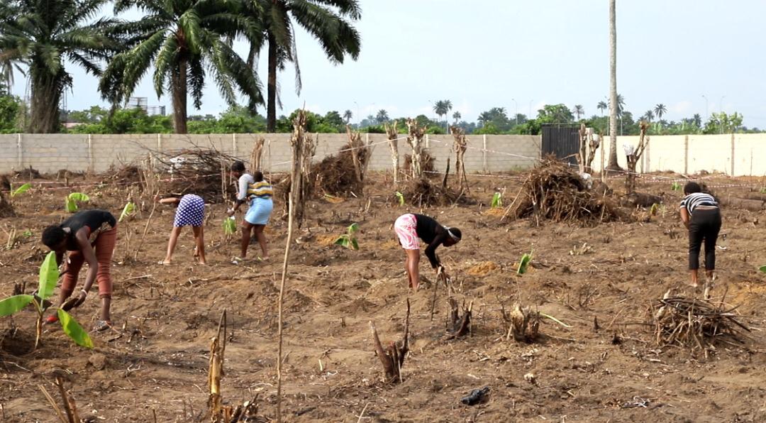 Repentant-militants-and-repentant-commercial-sex-workers-preparing-the-land-for-farming-season