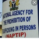 NAPTIP