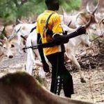 Suspected herdsmen attack three female farmers in Ekiti