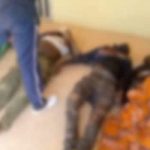 Bandits kill 8 miners in Plateau, Lalong, Fom condemn attack