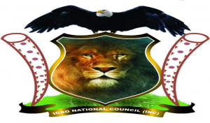 happenings-2020-02-7363d345-82b5-466e-a16d-f3263987db38-IGBO_NATIONAL_COUNCIL