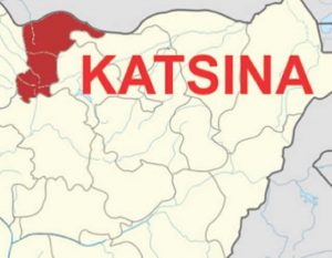 03b02d84-katsina-state-map