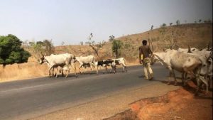 Herdsmen 3_3
