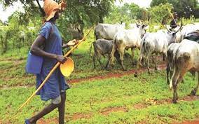 Open grazing