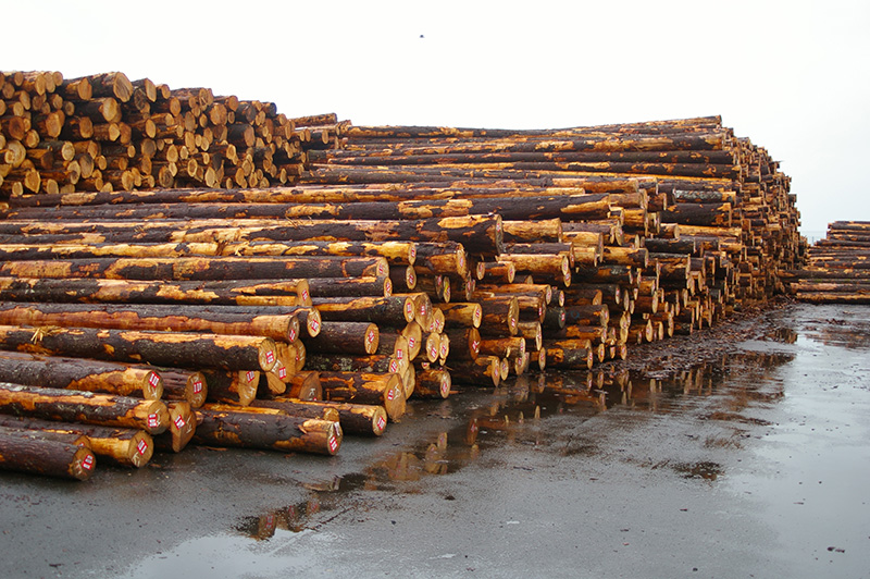bc-log-export1